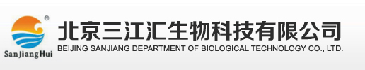 所有新闻