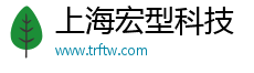 上海宏型科技有限公司