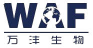 结石病治疗
