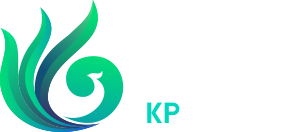快盈VIII官网