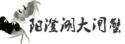 [阳澄湖大闸蟹专卖店商城]