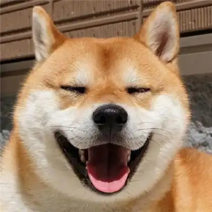 小吴咨询