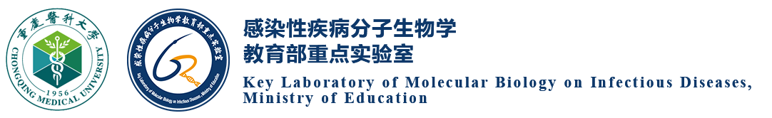 信息共享平台