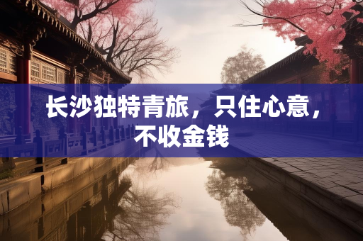 高一点网
