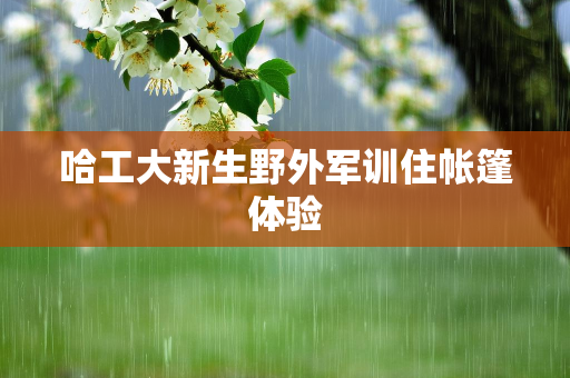 九零网