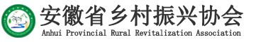 乡村振兴协会