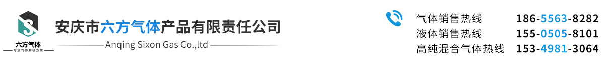 气体解决方案供应商