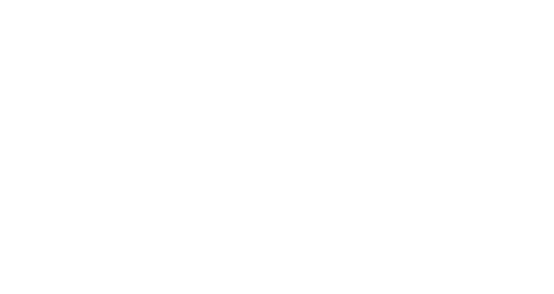 BAU