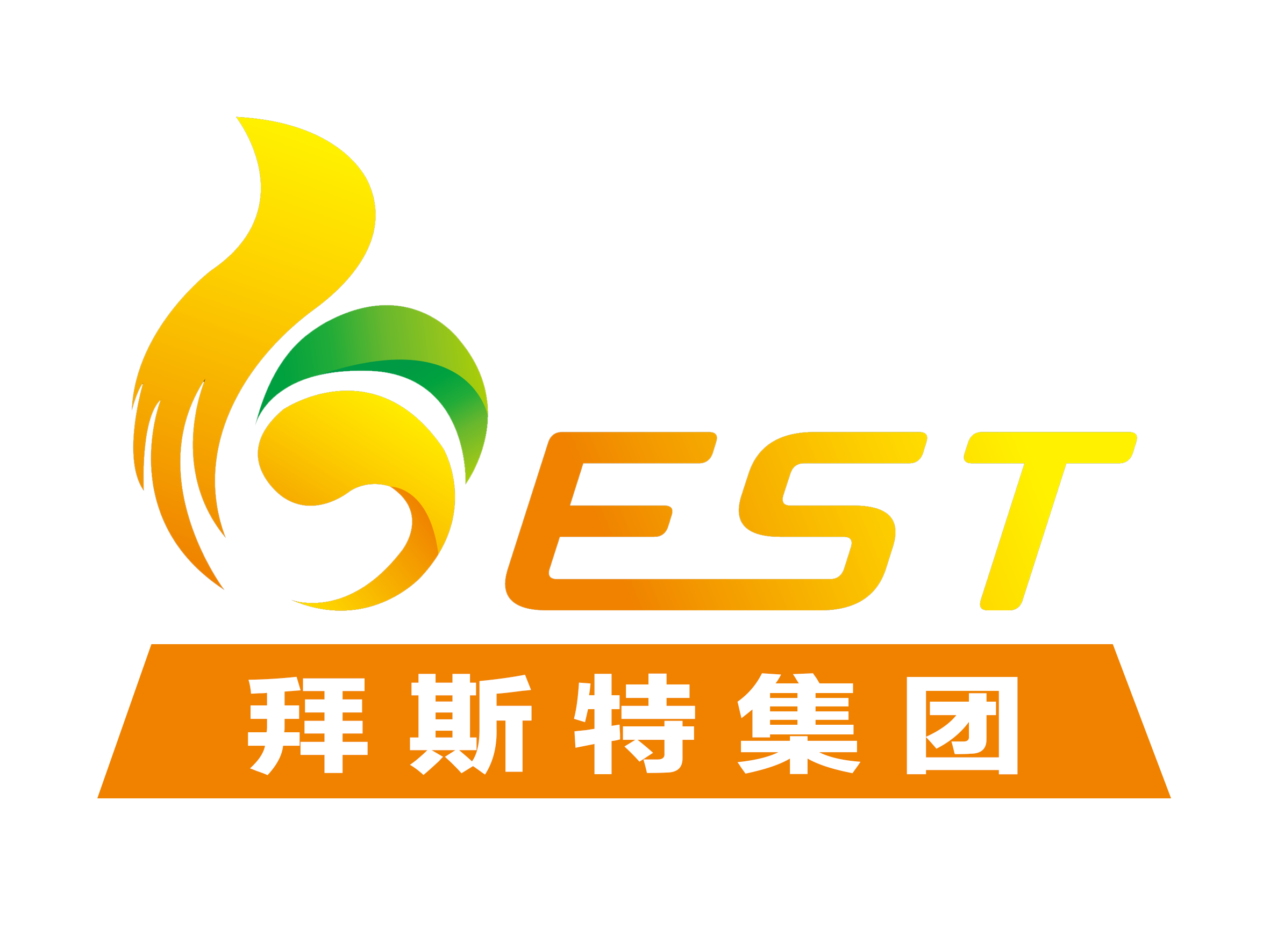 拜斯特集团