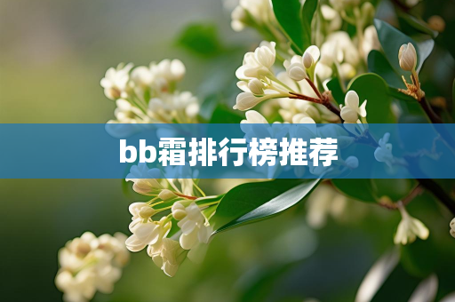 云美网