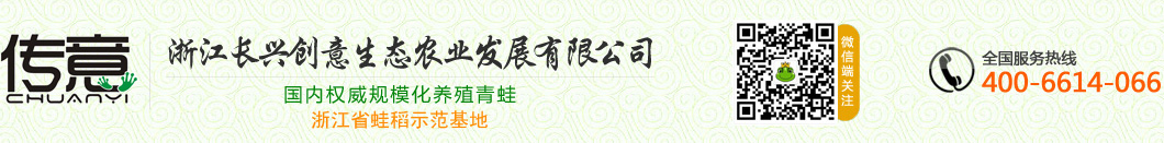 青蛙养殖