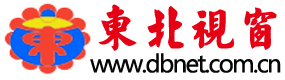 东北视窗
