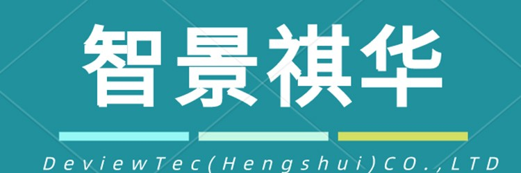 动物组织