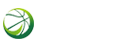足球直播