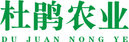 贵州杜鹃农业【官网】