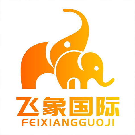 飞象国际,国际物流,国际快递,集运转运全球,双清包税