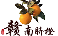 赣南脐橙