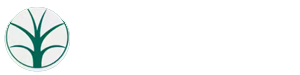 淮安梦晨木业制品有限公司