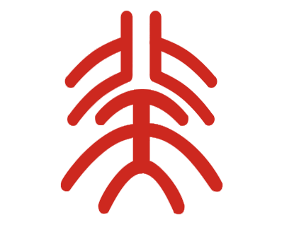 首页