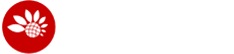 信息系统集成