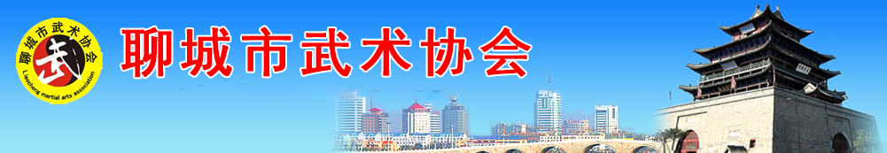 聊城市武术协会