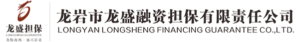 龙盛担保