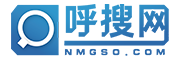 呼搜网络
