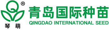 青岛国际种苗有限公司