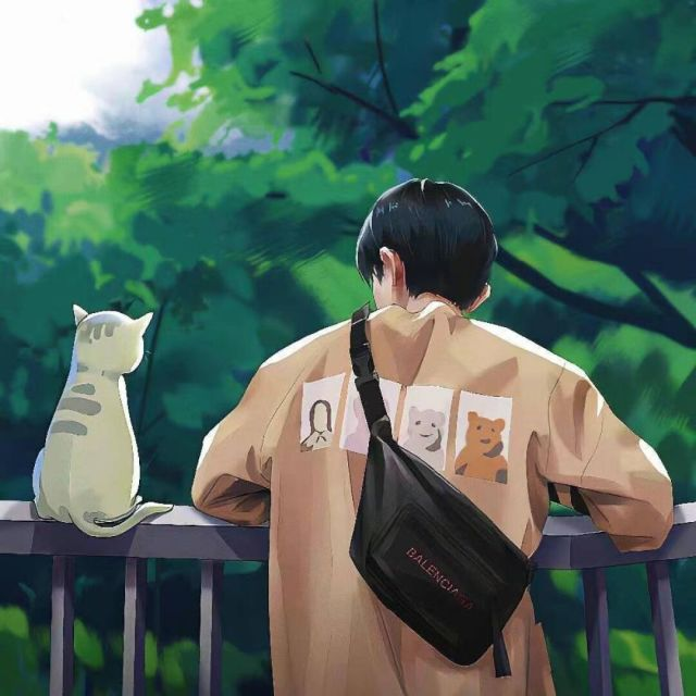 七楼网络