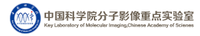Radiomics
