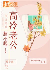 暮光小说城