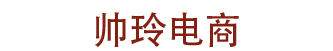宁夏帅玲电子商务有限公司