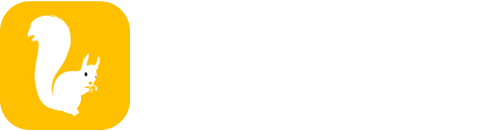 松果约课