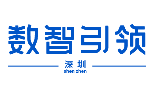 深圳数智引领科技有限公司｜AI人工智能数据安全隐私合规咨询和培训专业机构