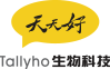 首页