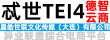 忒世TEI4