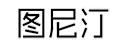 图尼汀英文查重