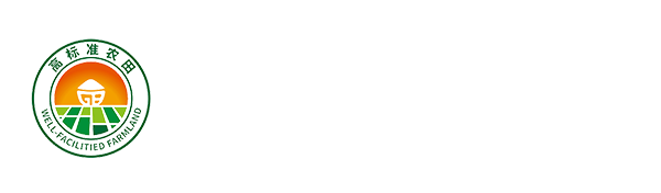 万鼎恒瑞