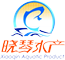 首页