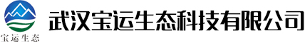 网站首页