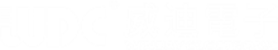 威迪电子（东莞）有限公司