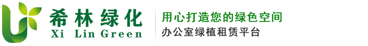无锡绿植租赁