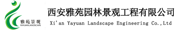 西安透水混凝土地坪