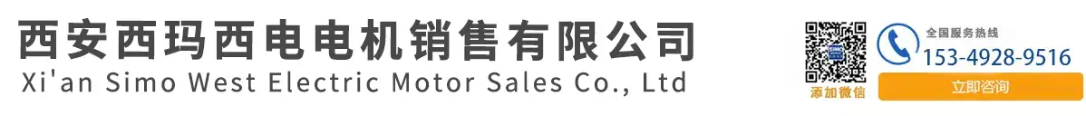西安西玛电机