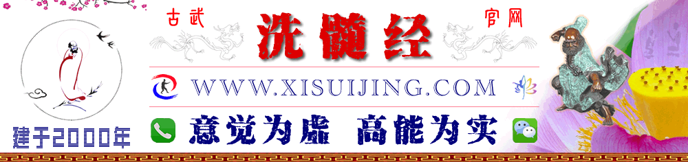 洗髓经
