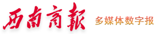西南商报2025年09月03日