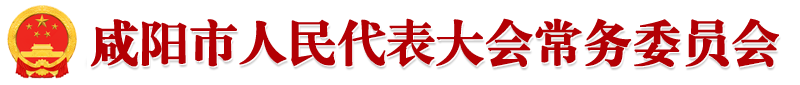 市人大