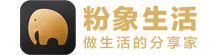 粉象生活团队