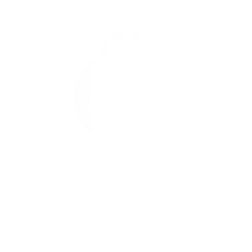Baoyan珠宝