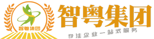 东莞会计,代理记帐,财务,公司注册,公司变更,法人,上市,IPO,税务,审计